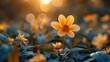 a flourishing flower bathed in sunlight with newly bloom. Yellow flower in a field of blue flowers.