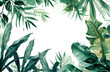 Tropical Green Leaves Watercolor Illustration Isolated on Transparent Background