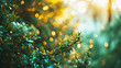 Colorful green and yellow color background with bokeh light and green plants.