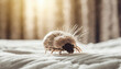 An Image Showcasing A Dust Mite Within A Bed Underscoring The Significance Of Maintaining A Clean Sleeping Environment . Сoncept Dust Mites, Benefits Of A Clean Bedroom, Bed Cleaning Tips