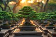 A serene bonsai tree nursery, with rows of meticulously pruned miniature trees