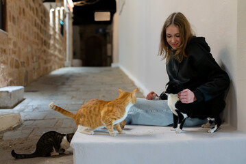 Wall Mural - Girl feeds homeless cats on the street.