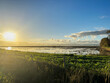View of the Ribatejo marshes in Portugal, with the sunset.