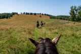 Fototapeta Sawanna - Horseback riding in the carpathian landscape