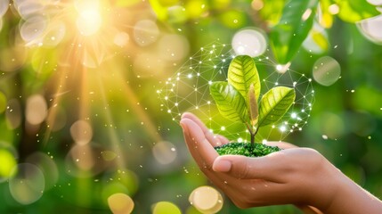 Poster - The team uses energy sources, sustainable ecology, alternative man care, and clean concepts when it comes to business activities