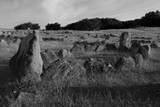 Fototapeta Natura - Ship setting in Lindholm Høje. Viking burial ground near Aalborg in Denmark, black & white
