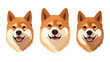 Akita akita inu dog head also know as shiba inu dog.