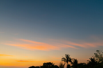 Wall Mural - twilight blue and gold yellow sky with smooth clouds, darkness silhouette coconut tree at sunset abs