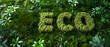 The image is of a green mossy field with the letters E, C