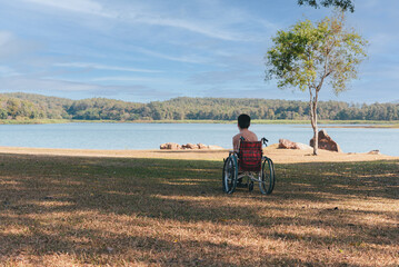 Wall Mural - Back of young boy sitting on wheelchair looking at beautiful nature park, Traveling using a wheel chair to learn about the world without limits, Good mental health and travel concept.