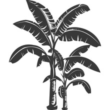 Silhouette Banana Tree Black Color Only