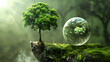 First, human hands holding medium tree. Second, human hands holding planet barren over blurred beautiful nature background