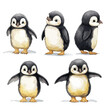 Penguin Chick Portraits Clipart Clipart isolated on w