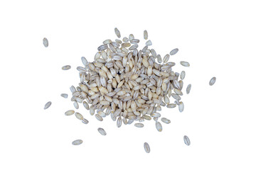 a small pile of barley