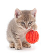 Little kitten playing with a ball of yarn.