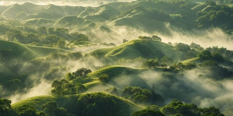 Wall Mural - Lush green hills enveloped in mist.