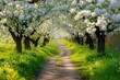 A dirt road winds through a picturesque landscape, lined with towering trees and adorned with white flowers, A romantic pathway under blossoming apple trees, AI Generated