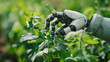 Smart robotic farmers harvest in agriculture futuristic robot automation to work technology increase efficiency