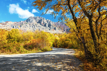 Poster - Sunny autumn. Natural landscape. Landscape with high rocky mountains, road and trees with orange leaves. Fall scenes.