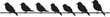 Chirpy Crew Cartoon Birds on Wire Black Logo Feathered Friends Cute Bird Cartoon Vector Icon Design