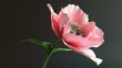 A beautiful 3D rendering of a pink poppy flower. The petals are delicate and the colors are vibrant.