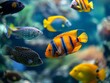 Bright tropical fish underwater