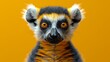 a close up of a small animal with an orange and black stripe on it's face and a yellow background.