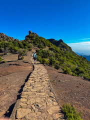 Wall Mural - Hiker woman on scenic paved hiking trail winding up to mountain peak Pico Ruivo, Madeira island, Portugal, Europe. Path on rugged terrain of unique rock formations and deserted shrub land. Wanderlust