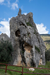 View on natural Monument Campo Soriano and olive trees, Lazio, Italy