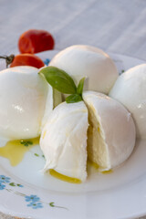 Wall Mural - Cheese collection, white balls of soft Italian cheese mozzarella, served with olive oil, tomatoes, fresh basil leaves