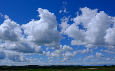 field and blue sky