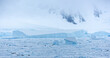 Packeis bei Adelaide Island, Antarktis mit Robben
