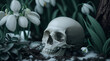 Heralds of spring. A human skull in the forest surrounded by snowdrops and remains of the snow.