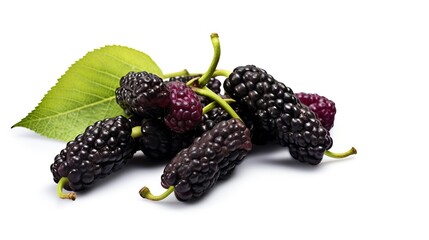 Ripe blackberries with green leaves isolated on white