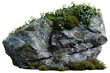 Natural rock with lush vegetation and white flowers on transparent background - stock png.