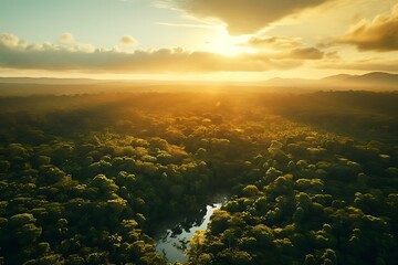 Wall Mural - Aerial view of beautiful sunset over the forest and lake in the morning