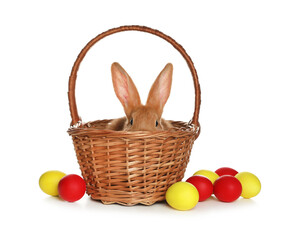 Wall Mural - Adorable furry Easter bunny in wicker basket and dyed eggs on white background