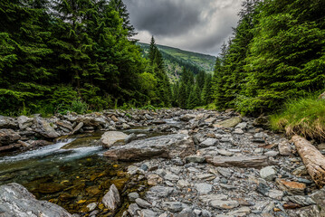 Sticker - Mountain creek next to Transfagarasan Road in Carpathian Mountains in Romania