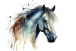 horse watercolor Wet head Vector