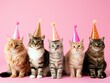 Festive Cats in Party Hats on Pink Background