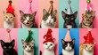 Colorful Array of Party Cats on Vibrant Background