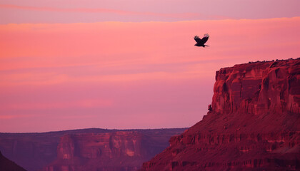 An eagle flies across a colorful sunset sky above a vast desert canyon