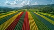 An aerial view of a vibrant, colorful crop rotation pattern, interspersed with high-tech tractors and machinery, highlighting the harmony of tradition and innovation in agriculture