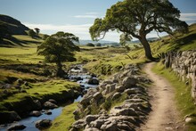 A tree lies beside the path, enhancing the natural landscape