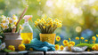 daffodils in a garden, spring flowers in the spring. Spring Break Cleaning DIY landscaping concept	