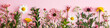Flowers flat lay with copyspace in pastel colors