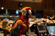 In the United Nations assembly a robot parrot dons a headset serving as a translator facilitating global dialogue