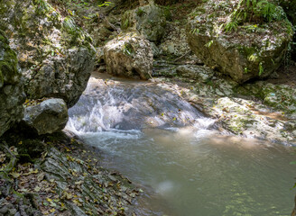 Morning on a mountain river, awakening in nature summer sunny mood.