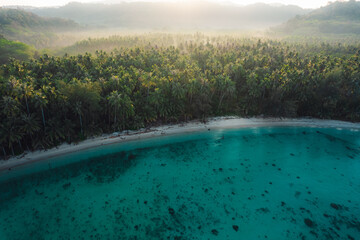 Wall Mural - Aerial view island and coconut groves on the island in the morning