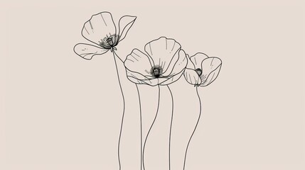 Wall Mural - One line artwork of a poppy flower. Line art featuring a minimalist contour.